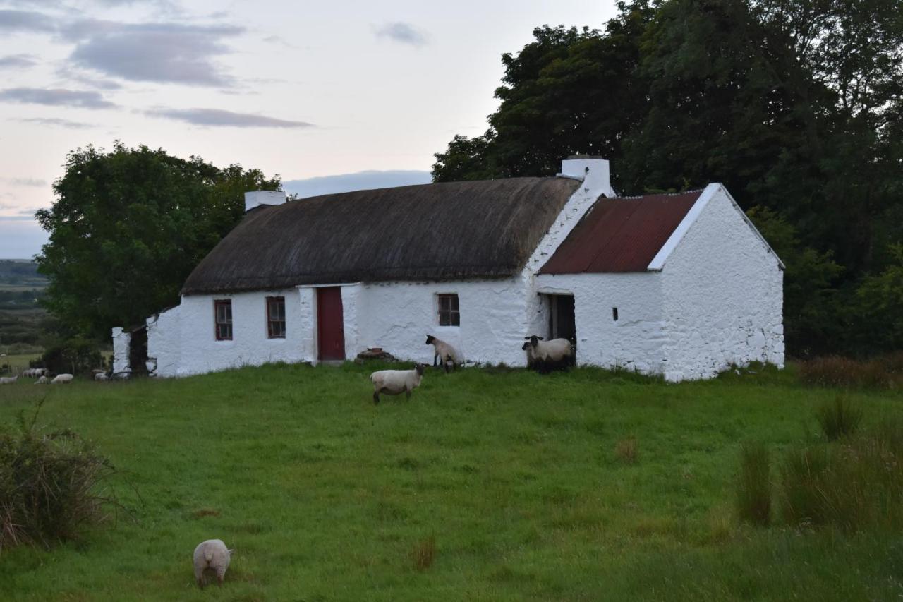 Ocean Bay Holiday home *